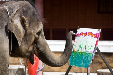 Photo of an elephant painting a pictureの写真素材