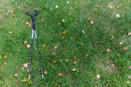 trekking pole on the green grass with autumn leaves lay
