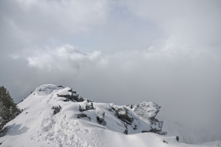 Snow cloud covers the mountain range and trees