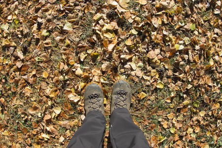 Top view of a hiking boot on the grass and autumn foliage.の写真素材