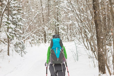 Girl backpacker walking on a forest road in the winter forest in the mountains.の写真素材