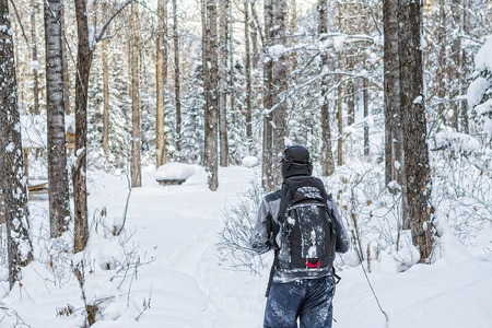 Man backpacker walking on a forest road in the winter forest in the mountainsの写真素材