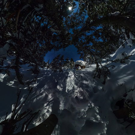 360 panorama chalets and snowboard in winter forest under a starry sky