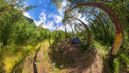 Wide panorama tent on camping in the woods.