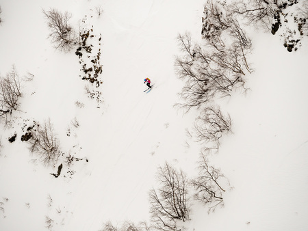 freerider skier descends a steep slope of white snow and trees in the Caucasus Mountainsの写真素材