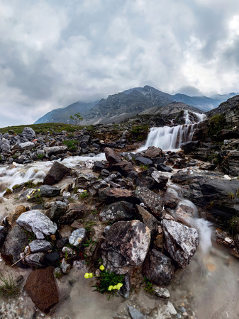 Mountain waterfall stream in misty rainy weather in the valley flowersの写真素材