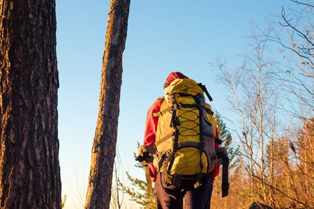 man backpacker stands in forest at sunset in fall in yellow trees
