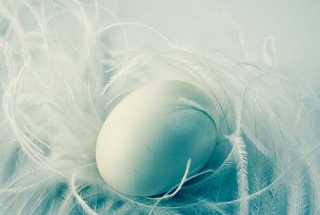 Easter eggの写真素材