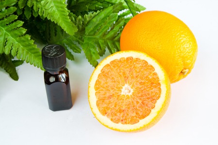 Oranges, bottle of oil  and green leaves still-lifeの写真素材