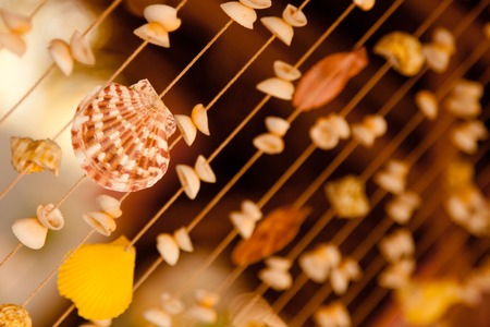 Curtain made from the sea shells and ropes