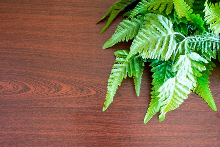 Brown colored background with the green leafsの写真素材