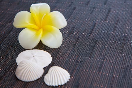 Background with the flower shaped aroma candleの写真素材