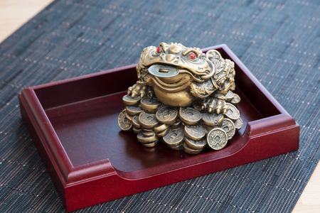 Money frog with the coin on the wooden tableの写真素材