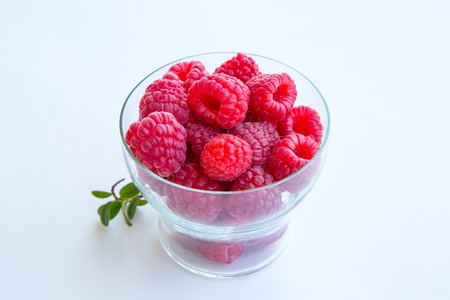 Freshly picked ripe red raspberries 
