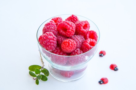 A beautiful selection of freshly picked ripe red raspberries and lady-birdsの写真素材