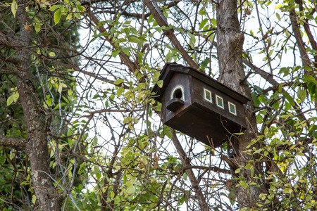 Birdhouse on the tree