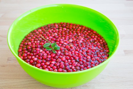 Fresh Organic Cranberryの写真素材