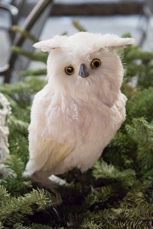 Christmas Decoration - The white Owl among the branches of Christmas treeの写真素材