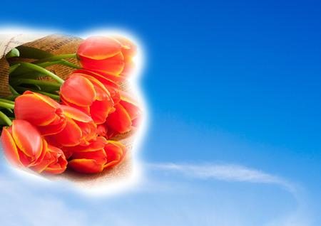 Bouquet of bright tulips on the blue sky background With Copy Space Free Text Or Your Text Hereの写真素材