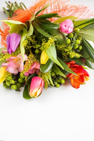 Lily and tulips  flowers background isolated on white with sample textの写真素材