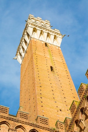 image of a the nice Tower Torre del Mangia in Siena Italyの写真素材