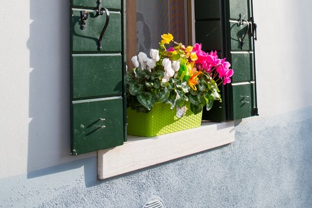 idyllic window with nice red flower, Italyの写真素材