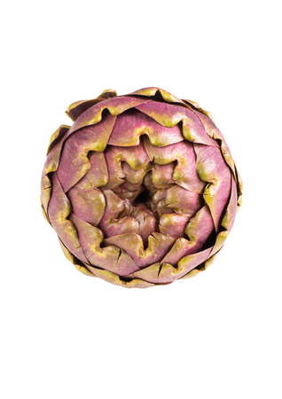 large purple fresh artichoke isolated on  white background .の写真素材