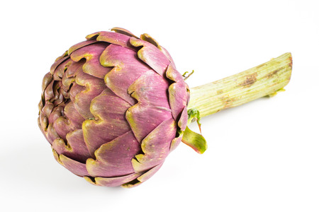large purple fresh artichoke isolated on  white background .の写真素材