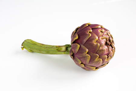 large purple fresh artichoke isolated on  white background .の写真素材