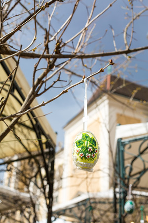 Colorful painted Easter egg on the treeの写真素材