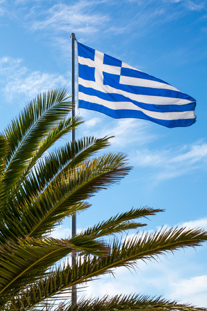 White and blue Flag of Greece at green palm tree in front of itの写真素材