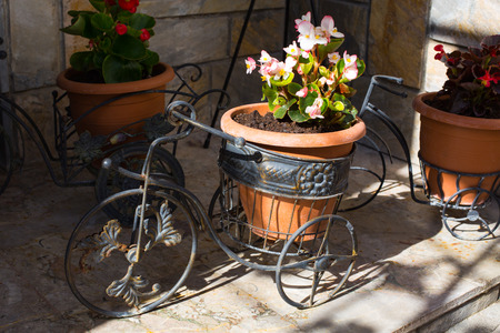 Decorative  bicycle vase with flowers at the morning sunlightの写真素材
