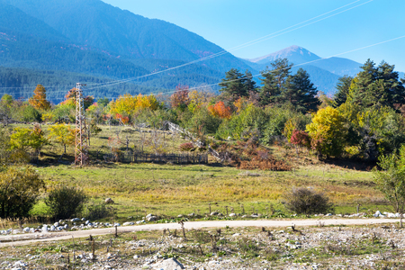 Vibrant autumn rural panorama background with colorful green, red and yellow trees and old farm fenceの写真素材