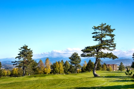 Vibrant autumn panorama background with colorful green and yellow trees and grass fieldの写真素材