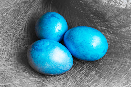 Three Virbant Blue Easter eggs on gray background. Color conceptの写真素材