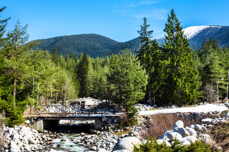 Spring background with wooden bridge, river, snow mountains, green treesの写真素材