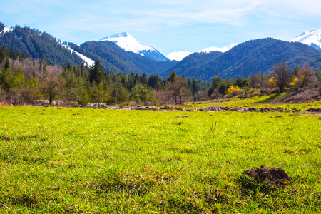 Spring Background with snow mountains, green spring grass, copy spaceの写真素材