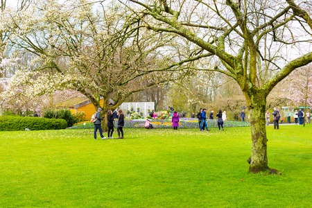 Lisse, Netherlands - April 4, 2016: People walking and making photos in dutch spring garden Keukenhof, Lisse, Netherlandsのeditorial素材