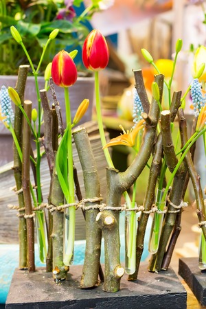 Red tulips and tree branches home flower decoration close-up macroの写真素材
