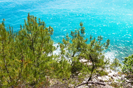 Summer vacation background with turquoise sea water and pine trees in Thasos Island, Greeceの写真素材