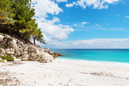 Summer vacation background texture panorama of seascape with greek Marble Beach in Thassos Island, Greece with turquoise water and pine treesの写真素材