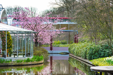 Lisse, Netherlands - April 4, 2016: Pavillion Willem Alexander and flower blossom in dutch park spring garden Keukenhof, Lisse, Netherlandsのeditorial素材