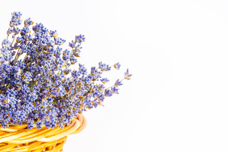 Bunch of dry wild mountain lavender flowers in basket on white backgroundの写真素材