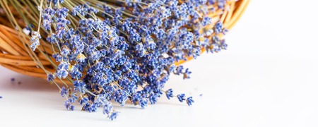 Bunch of dry wild mountain lavender flowers in basket on white backgroundの写真素材