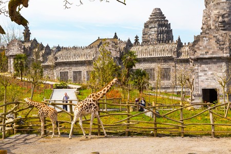 Pairi Daiza, Belgium - April 11, 2016: Giraffe in the zoo Pairi Daiza and people aroundのeditorial素材