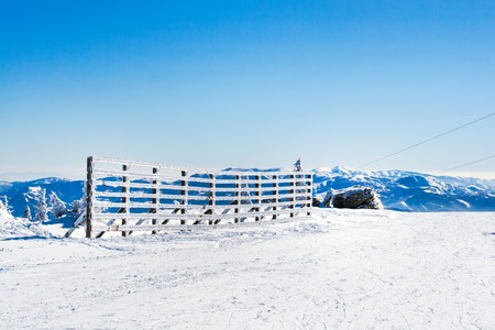 Vacation rural winter background with  white pines, fence, snow field, mountains, blue sky, copyspaceの写真素材