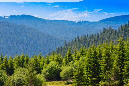 Aerial view of green pine trees in high mountains landscape in Rila, Bulgariaの写真素材