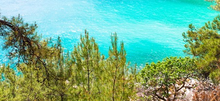 Summer vacation panoramic background with turquoise sea water bay and pine trees, Greeceの写真素材