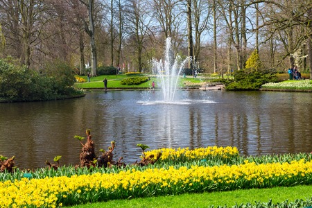 Lake and fountain in the spring flower garden and Keukenhof park viewの写真素材