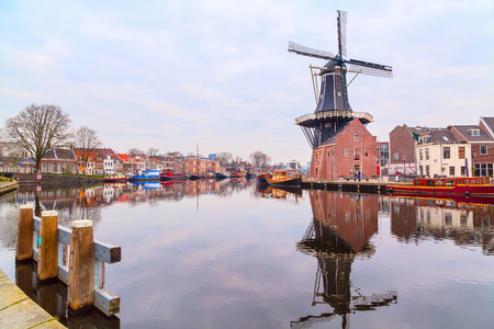 landscape with the windmill and traditional houses, Haarlem, Hollandの写真素材